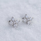 Pair of cluster stud earrings on snow